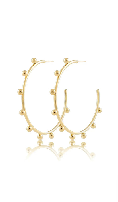 Ari Hoops